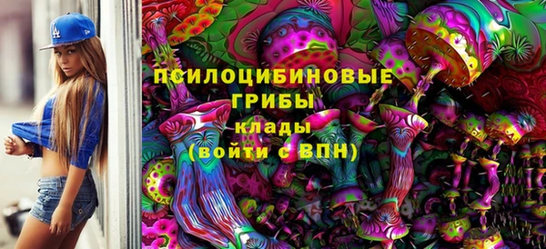 бошки Алзамай